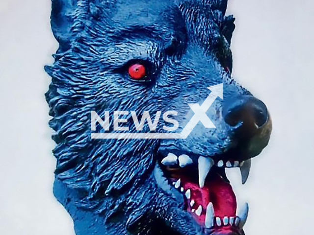 The wolf mask which the alleged perpetrator was wearing