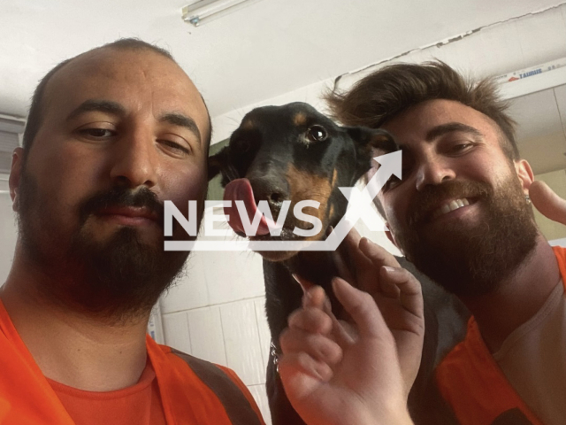 Rescuers pose for a photo after they pulled out a dog and her three puppies from under the rubble in Antakya, Hatay, Turkey, Monday, March 6, 2023. The dog gave birth under the rubble and survived for a month before being rescued. Note: We have obtained permission for this photo (@meyako_rescue/CEN)