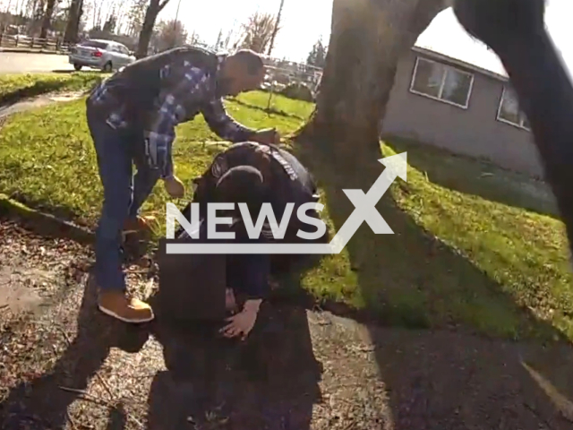 Police officers arrest the driver that repeatedly rammed two patrol cars, in Pierce County, Washington, on Tuesday, Feb. 7, 2023. The driver rammed the patrol cars with a stolen box truck. Note: Picture is a screenshot from a video (@PierceSheriff/Newsflash)