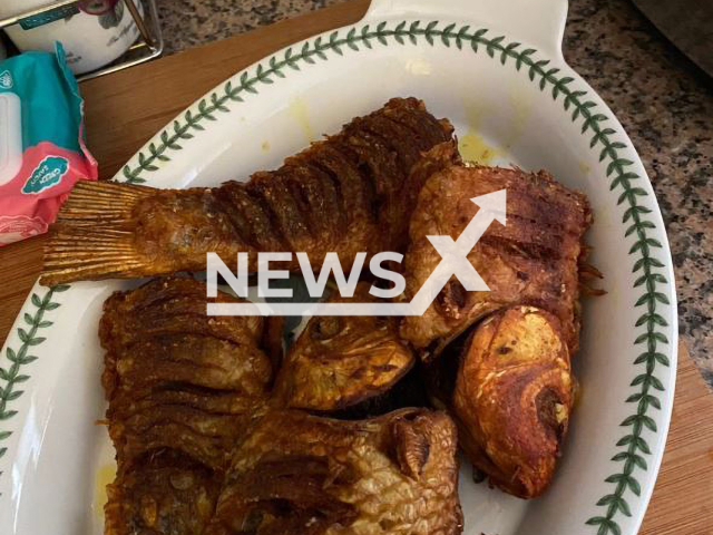 Picture shows the cooked Koi fish, undated. They had suffocated after a power cut when the water pump stopped working, and Nadia's parents cooked them in Malaysia.  Note: Private photo.  (@Nadia_Nazir/Newsflash)