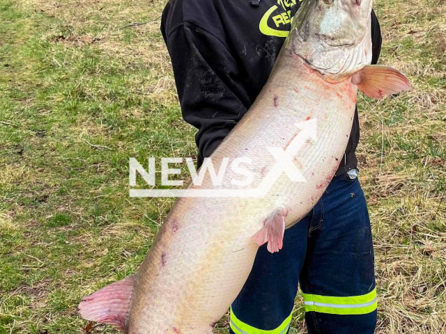 Luke King who catch of giant muskie and broke a 25-year-old record in West Virginia, USA. Note: We have obtained permission for this picture from Luke King. (Luke King/Newsflash)