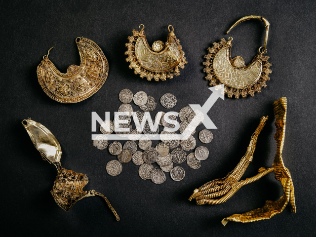 Image shows four gold earrings, two gold strips and thirty-nine silver pennies, undated photo. Dutch historian Lorenzo Ruijter, 27, found a unique 1,000-year-old medieval golden treasure in Hoogwoud, North Holland province, the Netherlands. Note: Licensed content. (Archeology West-Friesland, Fleur Schinning/Newsflash)