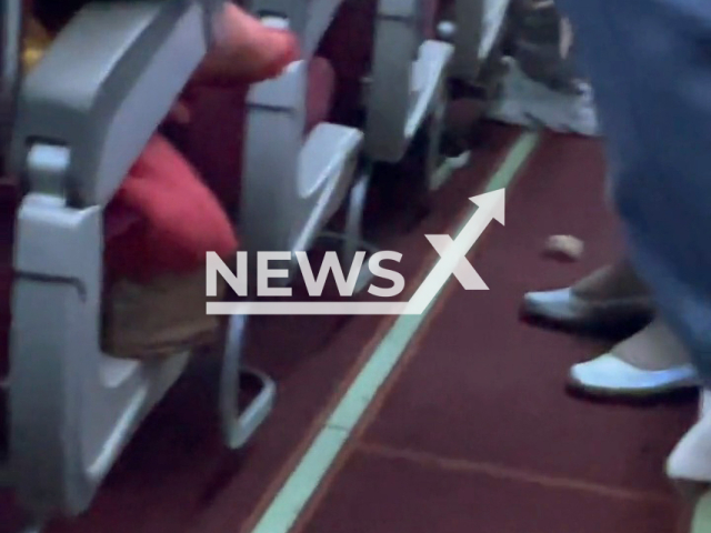 Pet hamster found in plane cabin during the flight of HU7638 Zhengzhou-Dalian in China, on 16th March 2022. Note: Picture is a screenshot from a video (xiaoliang66824/AsiaWire)