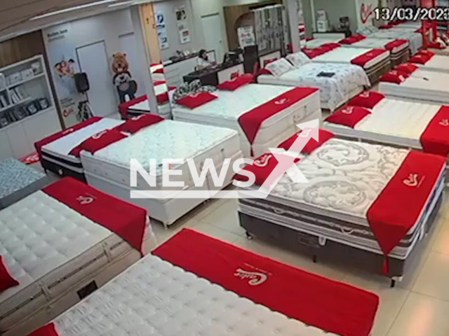 Dog steals a plush toy from a mattress store in Cascavel, Parana in Brazil, Monday, Mar. 13, 2023. A man then rescues the toy and returns it back to the store. Note: Picture is screenshot from a video.(Castor Cascavel/Newsflash)