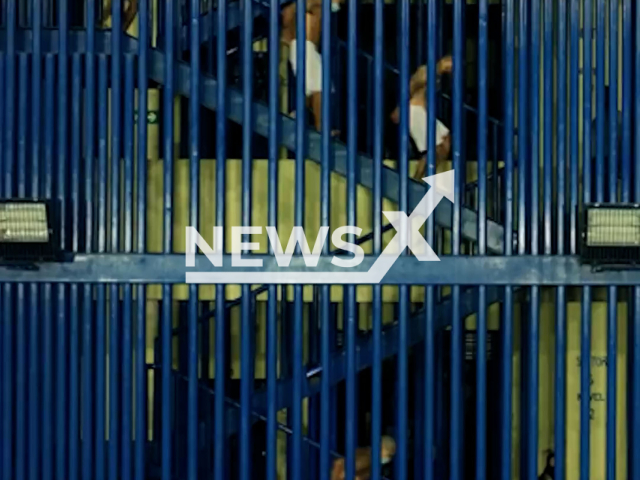 Picture shows some of the prisoners during transfer to Centro de Confinamiento del Terrorismo (CECOT), in El Salvador, in March, 2023. The operation transferred a  second group of 2,000 suspected gang members to a new prison.  Note: Picture is screenshot from a video. (@nayibbukele/Newsflash)