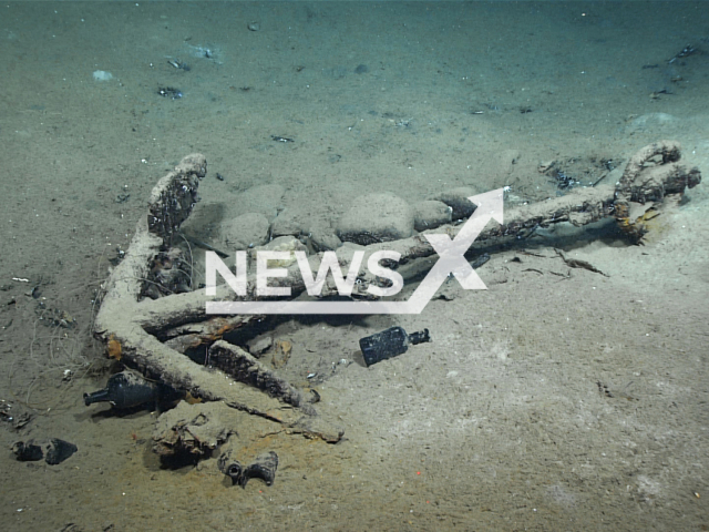 Image of an anchor was taken from the 1836 shipwreck site of brig Industry in the Gulf of Mexico by the NOAA ROV deployed from NOAA Ship Okeanos Explorer on the 25th of February 2022.
Note: Press photo. (NOAA Ocean Exploration/Newsflash)