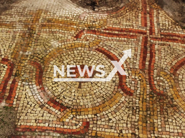 Photo shows the flower decorations on the mosaic uncovered along the Israel National Trail, undated. The mosaic floor of an ancient church was first discovered in the 1980s but was since been covered over and not accessible. Note: Licensed photo (Israel Antiquities Authority/Newsflash)