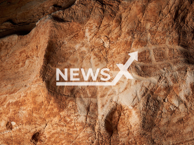 Picture shows  some of the prehistoric engravings, from the Chalcolithic-Bronze period, found in a cave in Febro, Spain, undated. The set of more than a hundred engravings is arranged in an 8-metre-long panel.
Note: Licensed photo.  (Arnau Pascual Monells, Departament de Cultura/Newsflash)