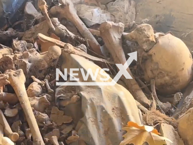 Picture shows the human remains in the ossuary  in Seville, Spain, undated.  A  candidate for Mayor of Seville, Jose Luis Sanz,  denounced the abandonment of these bones, which are in an area that can be accessed without any impediment. Note: Photo is a screenshot from a video. (Newsflash)