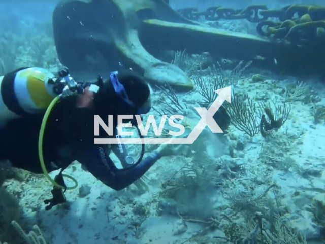 Photo shows corals allegedly affected by a ship, undated. A Cuban ship named "Melody" loaded with porphyrite, allegedly affected an area of ​​protected corals in Puerto Morelos, Mexico. Note: Picture is a screenshot from a video (Newsflash)