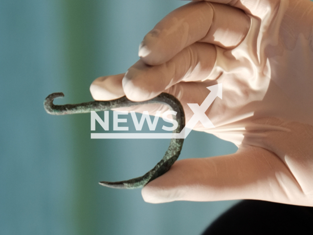 Photo shows a fishhook, which was discovered in the Israel Antiquity Authority excavations carried out prior to the construction of the Agamim neighborhood in Ashkelon, Israel, undated. The copper fishhook is believed to be used for hunting sharks. Note: Licensed photo (Emil Aladjem, Israel Antiquity Authority/Newsflash)