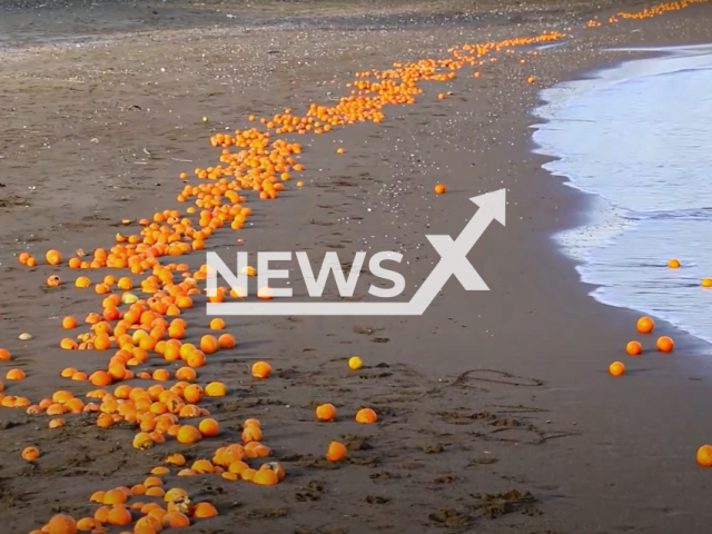 The oranges, which are thought to be poured into a stream and then poured into the sea with the current, covered a large part of the coast in Mersin, Turkey. Note: Picture is a screenshot from a video (Newsflash