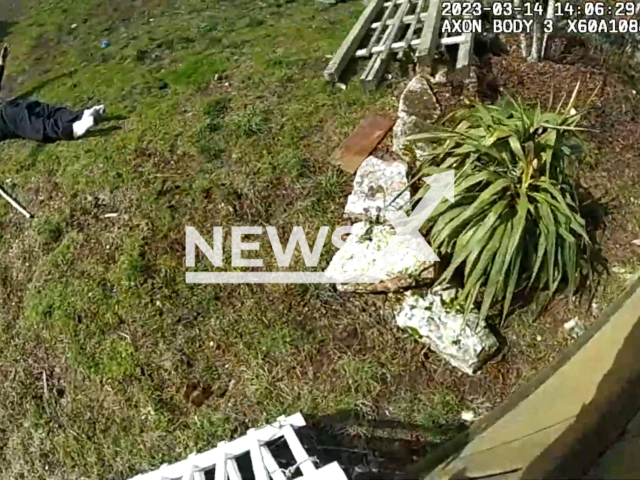 The suspect laying on the ground in Parkland, Florida, USA on March 14, 2023. The suspect, classified as a high-priority offender, has a history of convictions dating back to 2009 and remains in custody. Note: Picture is screenshot from a video. (@PierceSheriff/Newsflash)