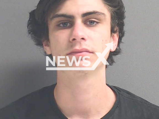 Nicholas Schaab, 20,  is accused of digitally and orally assaulting Berkley, his  family dog, in New Smyrna Beach, Florida, USA.   Note: Police photo. (Volusia County Division of Corrections/Newsflash)