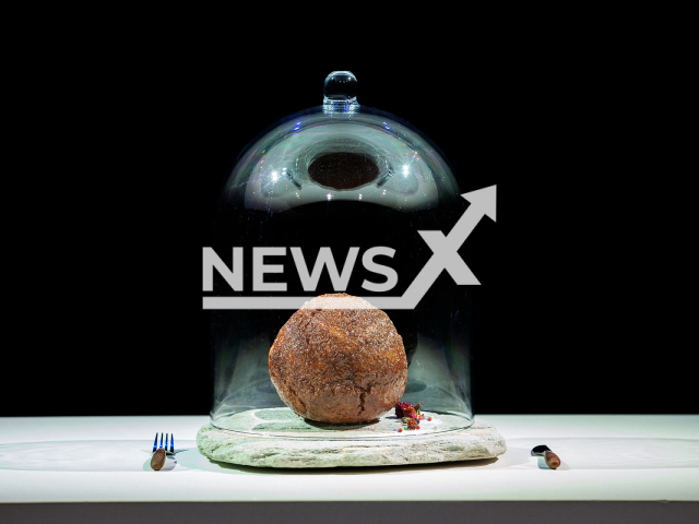 Photo shows a mammoth meatball, undated. Wunderman Thompson and the Australian startup Vow unveiled a mammoth meatball at the NEMO Science Museum in Amsterdam, Netherlands, claiming it is the world’s first meatball containing mammoth myoglobin. Note: Licensed photo (Aico Lind www.studioaico.nl/Newsflash)