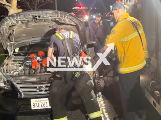 Firefighters rescue a dog stuck in a car engine, in Lodi, California, undated. The dog was transferred to Lodi Animal Services after being taken to Station 1 for a bath. Note: Photo from fire department. (@lodifiredept/Newsflash)