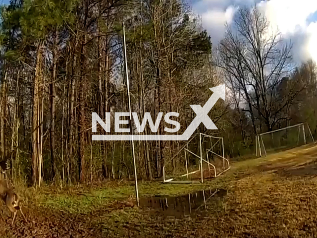 Police officers rescue a deer in Sandy Springs, Georgia, USA. Note: This picture is a screenshot from the video (Sandy Springs Police/Newsflash).