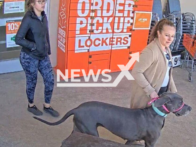 Picture shows the two women and  dog that bit a customer at a Home Depot in Evergreen, Colorado, USA, on Friday, March 31, 2023. The women   asked a customer if they would give the dog a treat as part of the training they were conducting, when the customer agreed and gave a treat to the dog, it bit the customer in the face.
 
Note: Police photo. (Jefferson County Sheriff's Office/Newsflash)