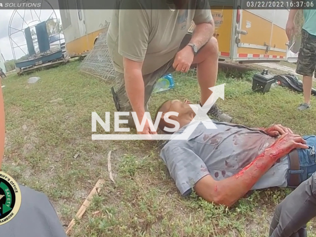 Sherif's office officers helping the animal sanctuary worker who was attacked by a tiger at Wooten's Everglades Airboat Tours in Ochopeein, Florida, USA. Note: Picture is a screenshot from a video (Collier County Sheriff's Office/Newsflash)