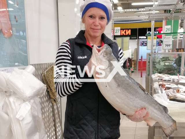 Photo shows Natalya Teterina, undated. Natalya Teterina, a mother of three from Yekaterinburg, Russia, sells fish during the day and trains for bodybuilding at night. Note: Picture is private (Natalya Teterina/Newsflash)