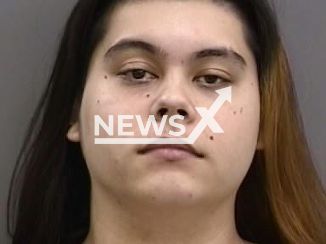 Juan Yap Rivera Jr. , 20, poses in undated photo. He was arrested  for possessing child pornography and bestiality footage in Hillsborough County, Florida, USA, on Tuesday, April 4, 2023. Note: Police photo. (Hillsborough County Sheriff’s Office/Newsflash)