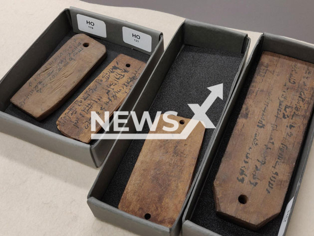 Picture shows ancient wooden tags, undated. The wooden tags hold clues to the climate of the times of Roman Egypt in the form of the tree’s growth rings. Note: Photo is obtained from Prof. Dr. Sabine Huebner. (Prof. Dr. Sabine Huebner/Newsflash)