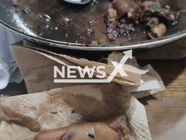 Picture allegedly shows a human finger  found in an order of carnitas, Salamanca, Mexico, undated. The person who found it claims to have gone to the police so they can investigate whether it was a human finger or a pig's tail. 

 Note: Private photo.  (Newsflash)