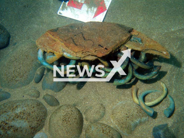 Image shows some of the 313 manillas excavated by the Sociedad de Ciencias Aranzadi from a Flemish trader lost in 1524 off Getaria in Basque Country, northern Spain, undated photo. The ship was chartered by Portuguese merchants from Lisbon. Note: Licensed content. (Ana Maria Benito-Dominguez, CC-BY 4.0 (https://creativecommons.org/licenses/by/4.0/)/Newsflash)