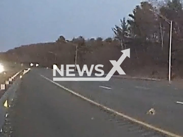 Image shows cops from Connecticut State Police, USA, rescue a bald eagle, undated photo. The rescue operation was carried out on Interstate 84, on Saturday, April 8, 2023. Note: Photo is a screenshot from a video. (Connecticut State Police/Newsflash)