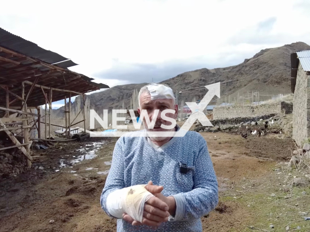 Photo shows Ilhami Akbulut, undated. A wolf that was found to have rabies injured four people in the Kirecli neighbourhood in Tortum, Erzurum, Turkey. Note: Picture is a screenshot from a video (Newsflash)