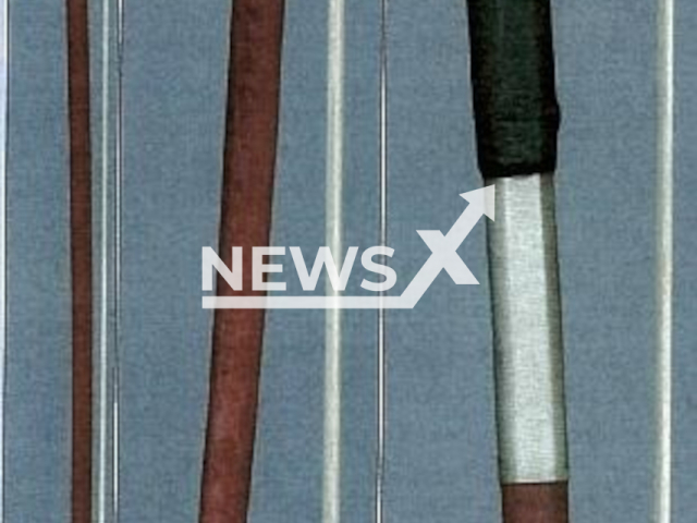 Image shows a violin bow by Gruenke and Sons, undated photo. A 33-year-old musician forgot her EUR 80,000 (GBP 70,461) violin on the train in the city of Vienna, Austria, on Monday, Mar. 27, 2023. Note: Photo shared by police. (BMI/Newsflash)