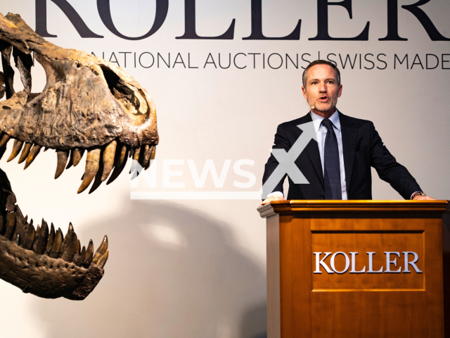 Image shows a Koller Auctions representative at the auction in the city of Zurich, Switzerland, undated photo. A T-Rex fetched CHF 5.5 million (GBP 5 million) at the auction on Tuesday, April 18, 2023. Note: Licensed content. (Koller Auctions/Newsflash)