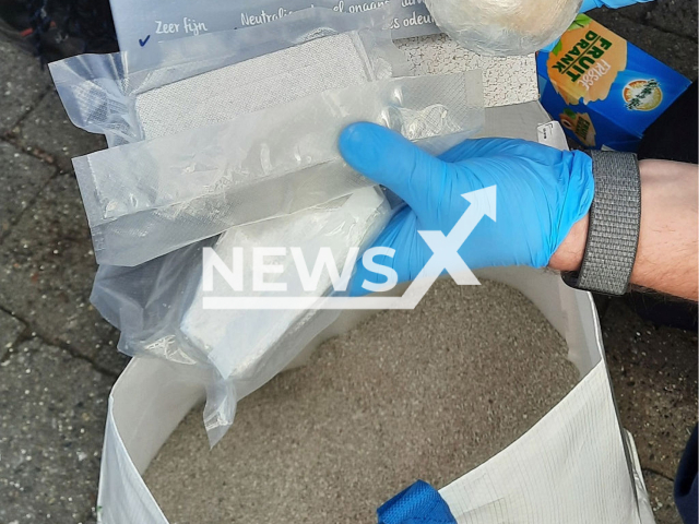 Image shows the drugs hidden inside the cat litter, undated photo. The substances were found by officers from the Main Customs Office Muenster, in Germany, on Thursday, April 20, 2023. Note: Licensed content. (Main Customs Office Muenster/Newsflash)