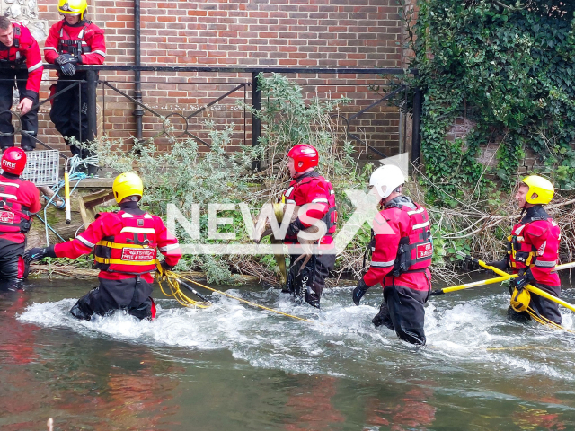 Image shows the deer rescue, undated photo. The animal was rescued from the River Avon in Salisbury, Wiltshire, England, UK, on Wednesday, April 19, 2023. Note: Licensed content. (DWFireRescue/Newsflash)