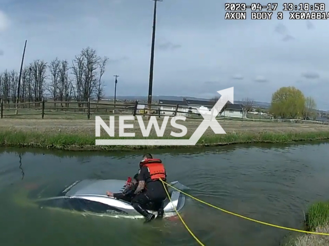 Officer Christensen rescues a man from a sinking car in Sunnyside, Washington, on Monday, April 17, 2023. According to Yakima County Sheriff's Office, deputies and the Sunnyside Police Department were sent to 500 Snipes Canal Rd. for a report of a car floating in the canal. Note: Picture is a screenshot from a video (Yakima County Sheriff's Office; Sunnyside Police Department/Newsflash)