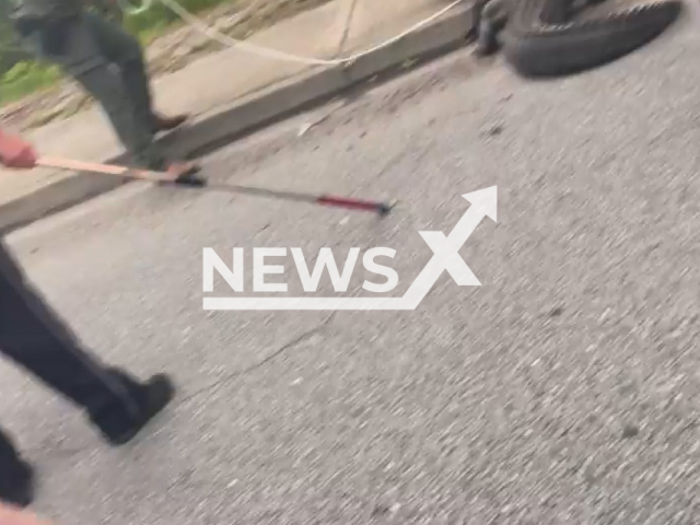 Police office remove an alligator crossing the road in North Charleston, South Carolina, USA, undated. They used a snare pole and rope to capture the reptile on the side of the road.  Note: Picture is screenshot from a video. (@NorthCharlestonPoliceDepartment/Newsflash)