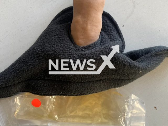 Image shows the fake penis, undated photo. A stoned driver, aged 26, was caught carrying it in his car in the Suederholz municipality, in Mecklenburg-Vorpommern State, Germany, on Friday, April 21, 2023. Note: Police photo. (Police Stralsund/Newsflash)