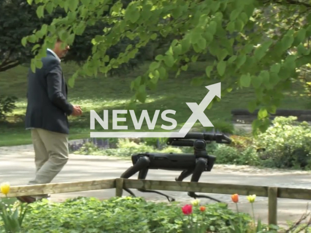 Image shows the new robot dog 'Spot', undated photo. It will help officers in the state of Baden-Wuerttemberg, Germany. Note: Photo is a screenshot from a video. (Newsflash)