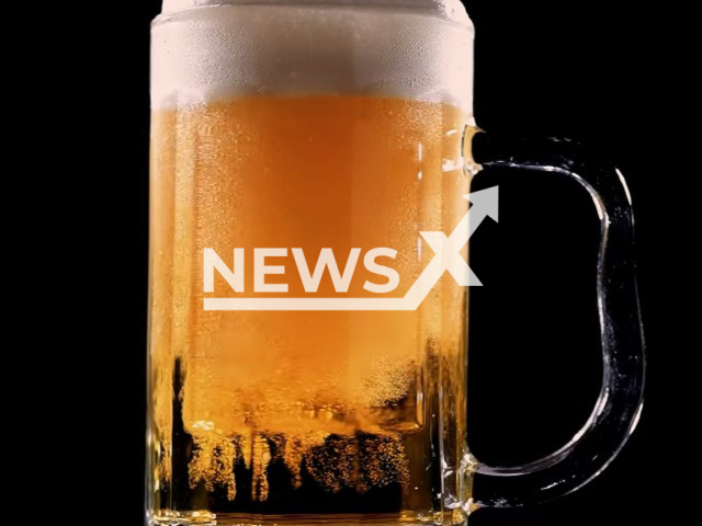 Picture shows an illustrative image of glass with beer, undated. The Punto Medio and Cerveceros Arellano breweries collaborate to make a cricket-based beer in Queretaro, Mexico. Note: Photo is a screenshot of video. (Newsflash)