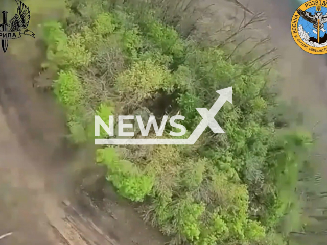 Ukrainian FPV kamikaze drone targets the Russian camouflaged military equipment on the battlefield in Ukraine in undated footage. The footage was released by Main Intelligence Directorate of the Ministry of Defense of Ukraine on Tuesday, May. 2, 2023.
 Note: Picture is a screenshot from a video (@DI_Ukraine/Newsflash)