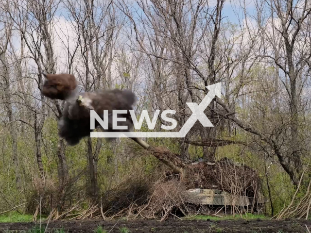 Russian artillery fire at Ukrainian military positions with "Msta-S" howitzers in Ukraine in undated footage. The footage was released by Russian MoD on Thursday, May. 4, 2023.
Note: Picture is a screenshot from a video (Russian Ministry of Defence/Newsflash)