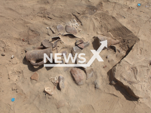 An Egyptian-Italian archaeological mission discovers a collection of Roman pots in Tell el-Maskhuta, Ismailia, Egypt, undated. The pots date back to the late period of ancient Egypt and the Greco-Roman eras. Note: The photo is from the Egyptian Ministry of Tourism and Antiquities' press release. (Egyptian Ministry of Tourism and Antiquities/Newsflash)