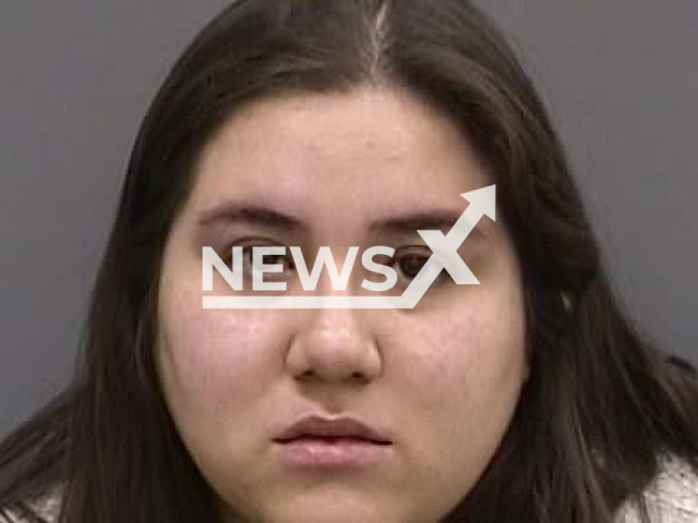 Photo shows Elizabeth Jaimes, who beat a nine-year-old Husky, named Maya, with a mallet in Hillsborough County, Florida, USA, undated. She was taken into custody on Monday and charged with one count of aggravated cruelty to animals with a weapon, a second-degree felony. Note: Photo is from the Hillsborough County Sheriff's Office (Hillsborough County Sheriff's Office/Newsflash)