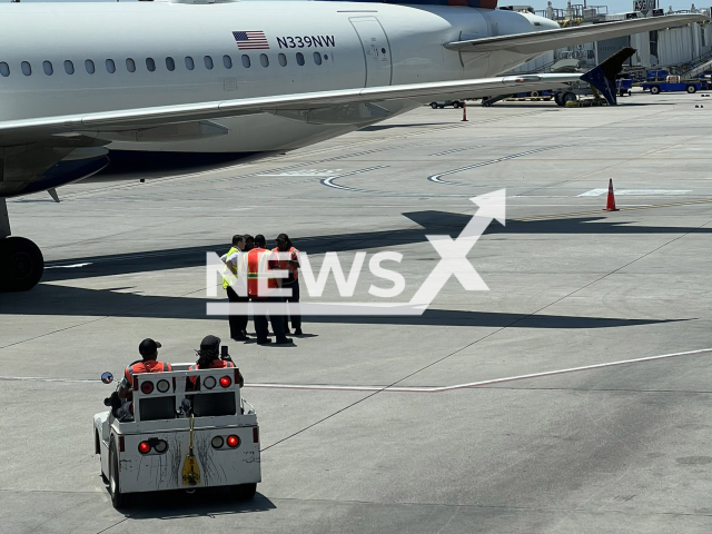 Photo shows a swarm of bees colonized the winglet of a Delta Air Lines plane that was bound from Houston-Bush to Atlanta on Wednesday, May 3, 2023. The flight was delayed for about three hours due to the bees. Note: We have obtained permission for this photo (@AnjaliEnjeti/Newsflash)