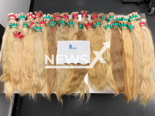 Image shows the smuggled hair, undated photo. It was smuggled in the city of Stuttgart, Baden-Wuerttemberg State, Germany, in May 2023. Note: Licensed content. (Main Customs Office Stuttgart/Newsflash)