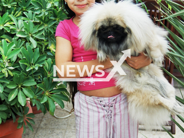 Photo shows Eden Mir, undated. She suffers from CPRS , Complex Regional Pain Syndrome, a neurologic disorder that causes tremendous pain. Note: Picture is private (Burning Limb Foundation/Newsflash)