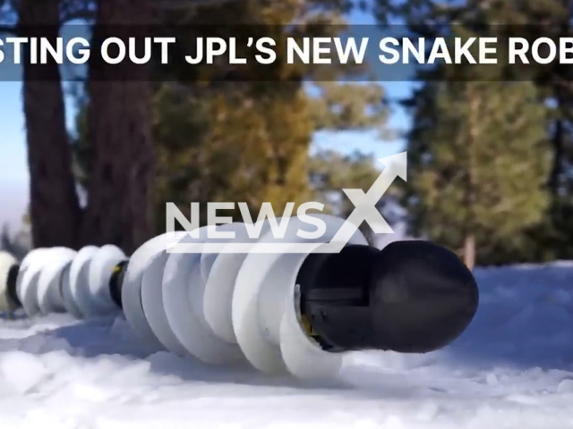 Picture shows Exobiology Extant Life Surveyor, undated. EELS is a snake-like robot that is being tested by NASA’s Jet Propulsion Laboratory. Note: Picture is a screenshot from a video. (NASA; JPL-Caltech/Newsflash)