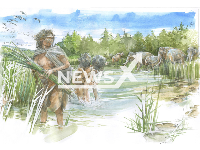 Image shows an illustration of how the Schoeningen area possibly looked about 300,000 years ago, undated photo. It is located in the state of Lower Saxony, Germany. Note: Licensed content. (Benoit Clarys/Newsflash)