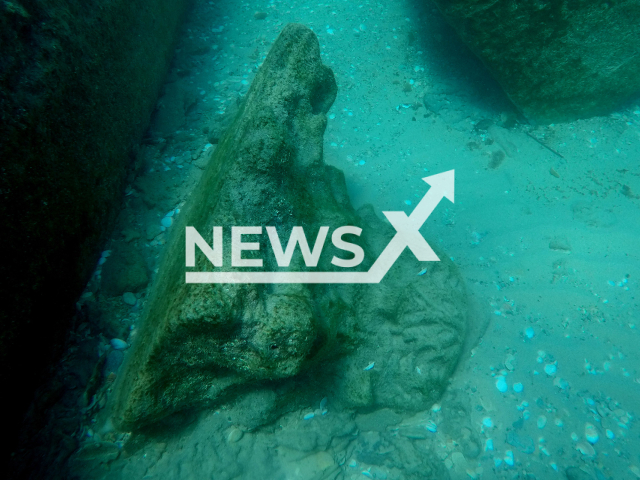 Photo shows a marble artifact from an enormous cargo, borne in a merchant ship that was shipwrecked in a storm during the Roman Empire period, which was uncovered in the coastal waters north of Netanya, Israel, undated. The find, which was discovered by an experienced sea swimmer, is the first known cargo of its kind from the Eastern Mediterranean. Note: Licensed photo (Israel Antiquities Authority/Newsflash)