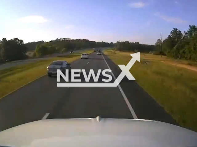 A turtle causes a chain reaction crash on a highway in Walton County, Florida, USA, Tuesday, May 16, 2023. No one was seriously injured, according to the sheriff's office. Note: Picture is a screenshot from a video (@WCSOFL/Newsflash)